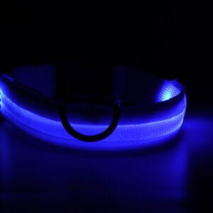 Vsepropejska Small svítící obojek pro psy | 28 - 43 cm Barva: Modrá