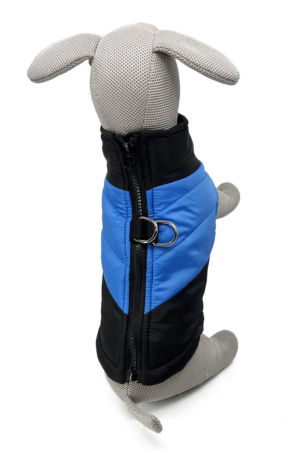 Vsepropejska Turbo obleček pro psa na zip Barva: Modrá