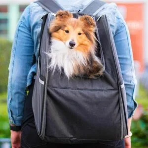 Vsepropejska Valdemar lehký batoh pro psa