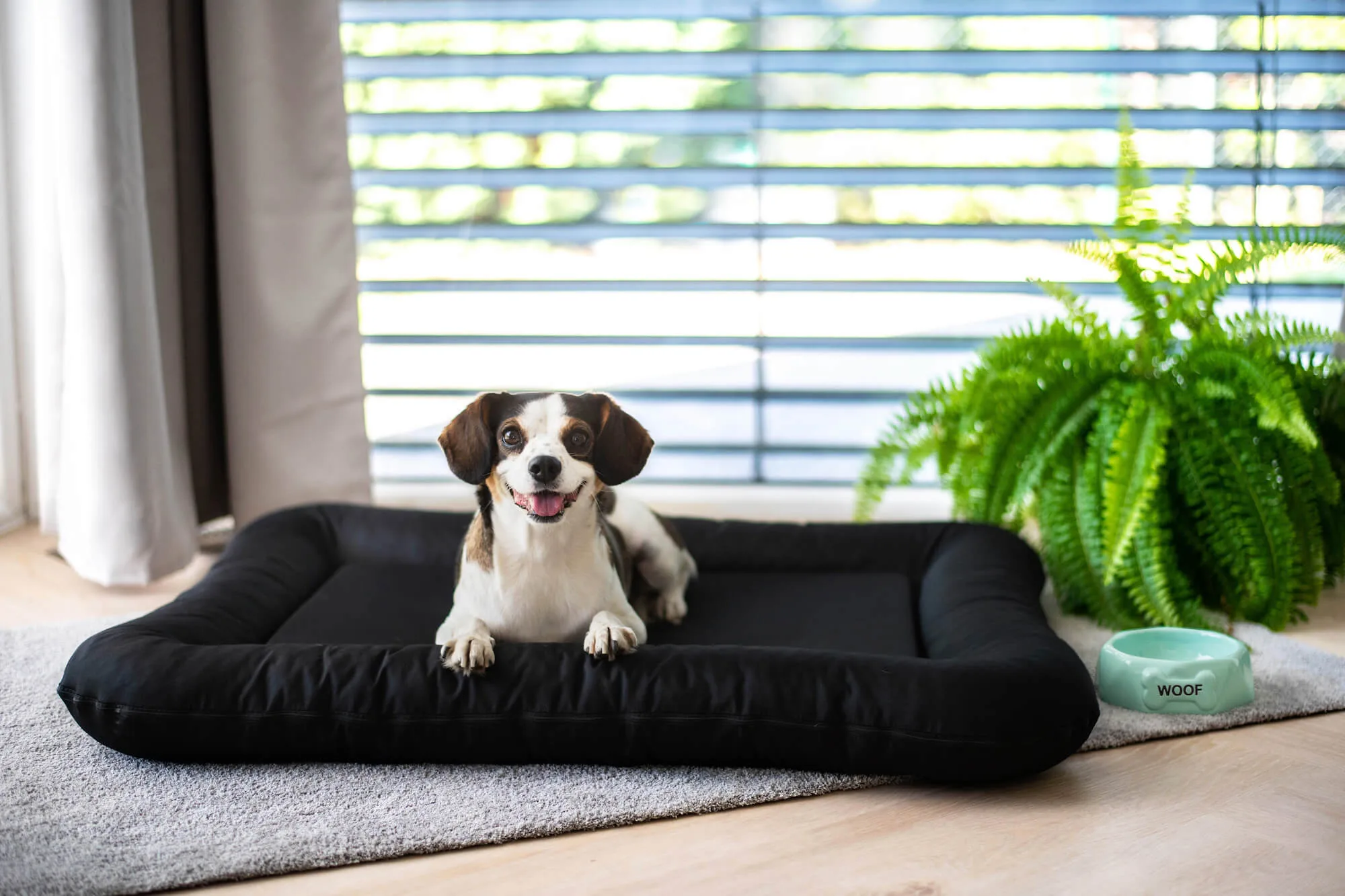 Woof miska pro psa Barva: Tyrkysová - Obrázek 2