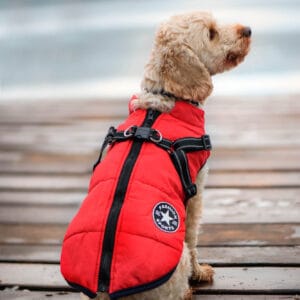 Vsepropejska Achar zimní bunda pro psa s postrojem Barva: Červená