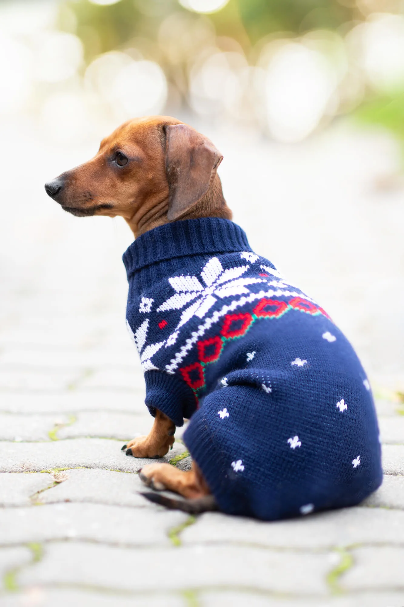 Délka zad (cm): 30-32