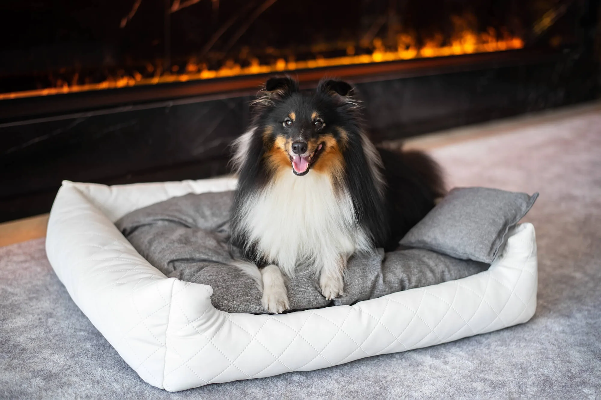 Rozměr (cm): 130 x 110