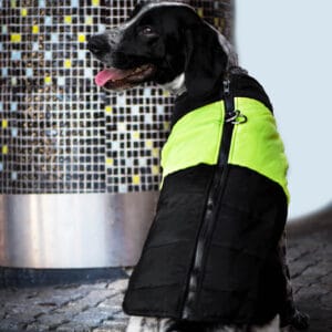 Vsepropejska Slim-rainy obleček pro psa na zip Barva: Černo-žlutá