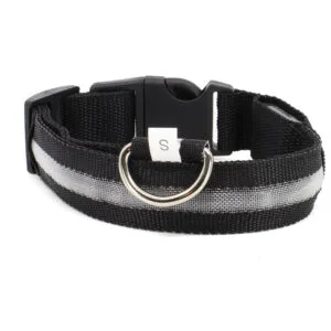 Vsepropejska Small svítící obojek pro psy | 28 - 43 cm Barva: Bílá