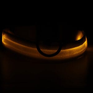 Vsepropejska Small svítící obojek pro psy | 28 - 43 cm Barva: Žlutá