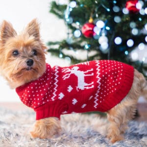 Vsepropejska Stag Vánoční svetr pro psa Barva: Červená