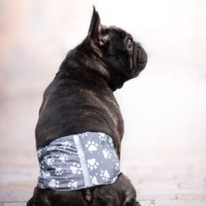 Obvod slabin (cm): 32 - 36