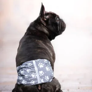 Obvod slabin (cm): 32 - 36