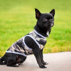 Vsepropejska Yoko maskáčové tričko pro psa Barva: Šedá