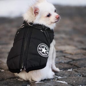 Vsepropejska Achar zimní bunda pro psa s postrojem Barva: Černá