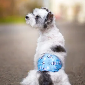 Vsepropejska Emil protiznačkovací pás pro psa Barva: Modrá