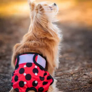 Vsepropejska Gama hárací kalhotky pro psa Barva: Červená