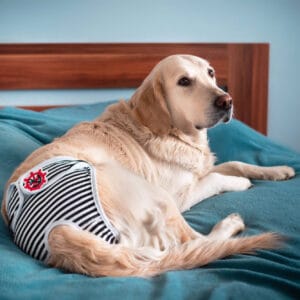 Vsepropejska Marine hárací kalhotky pro psa Barva: Černá