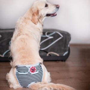 Vsepropejska Marine hárací kalhotky pro psa Barva: Černá