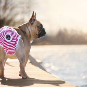 Vsepropejska Marine hárací kalhotky pro psa Barva: Červená