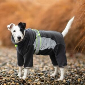 Vsepropejska Mazlík elastická fleecová kombinéza pro psa Barva: Šedá