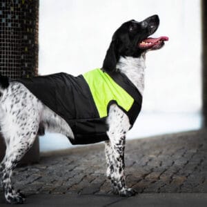 Vsepropejska Slim-rainy obleček pro psa na zip Barva: Černo-žlutá