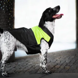 Vsepropejska Slim-rainy obleček pro psa na zip Barva: Černo-žlutá