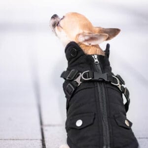 Vsepropejska Tulsi zimní bunda pro psa s postrojem Barva: Černá