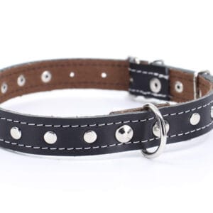 Loon kožený obojek pro psa | 22 – 65 cm Barva: Černá