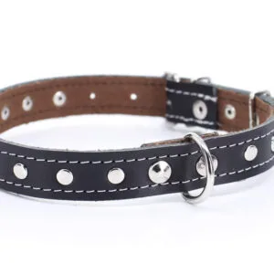 Loon kožený obojek pro psa | 22 – 65 cm Barva: Černá