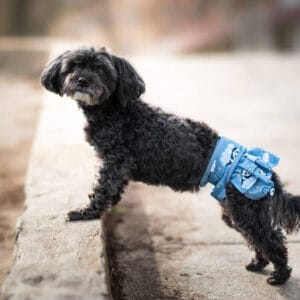 Nataša hárací kalhotky pro psa - vsepropejska.cz Barva: Tmavě-modrá