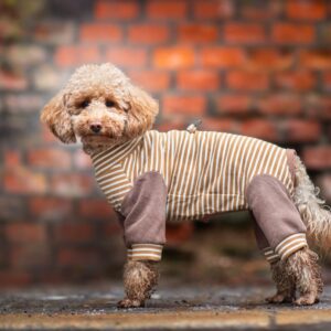 Vsepropejska FitMax pružný overal pro psa Barva: Hnědá