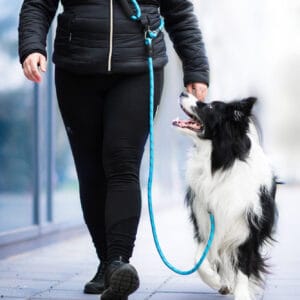 Vsepropejska Moris přepínací vodítko pro psa | 240 cm Barva: Modrá