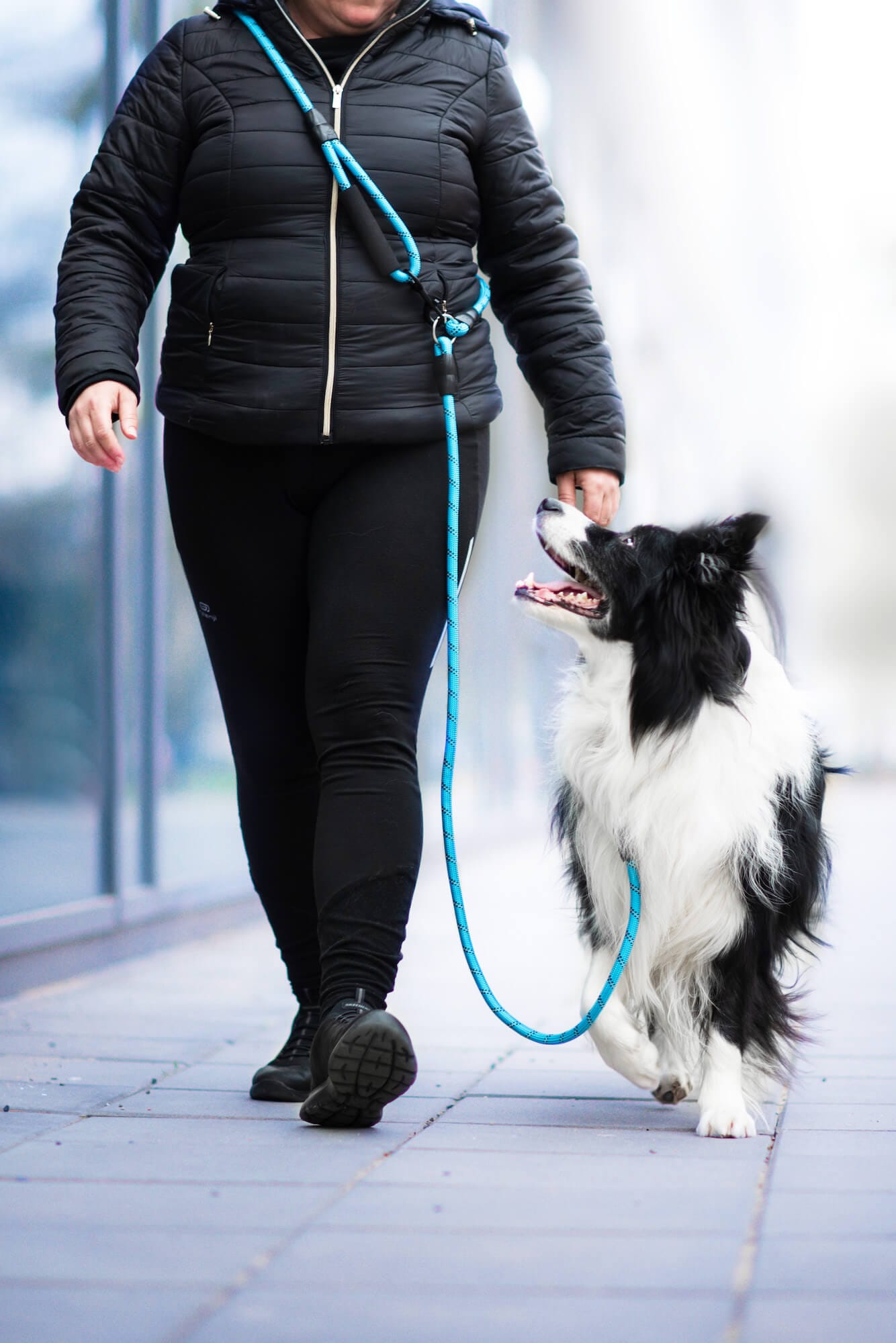 Vsepropejska Moris přepínací vodítko pro psa | 240 cm Barva: Modrá