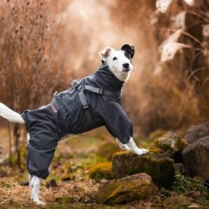 Vsepropejska Nelly pláštěnka do deště - nepromokavá kombinéza Barva: Šedá