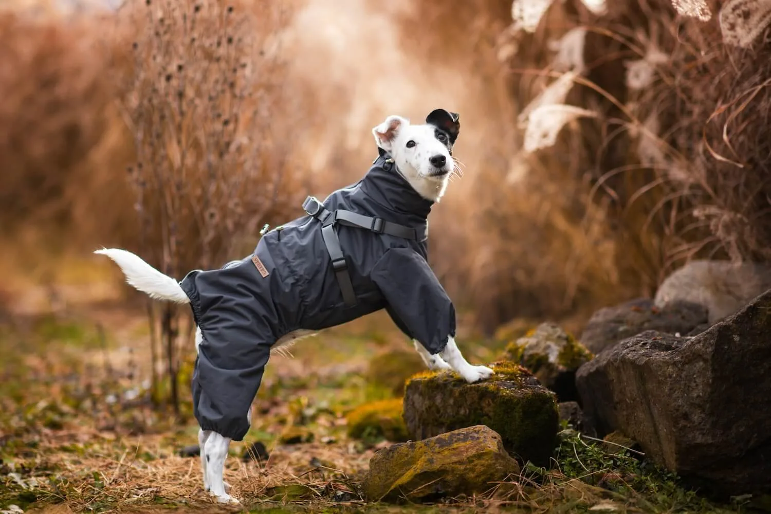 Vsepropejska Nelly pláštěnka do deště - nepromokavá kombinéza Barva: Šedá