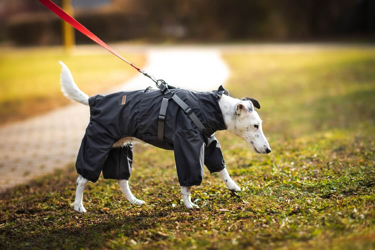 Vsepropejska Nelly pláštěnka do deště - nepromokavá kombinéza Barva: Šedá