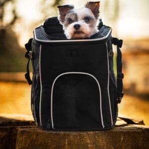 Bartl batoh pro psa na záda i na kolo | do 3 Kg Barva: Černá