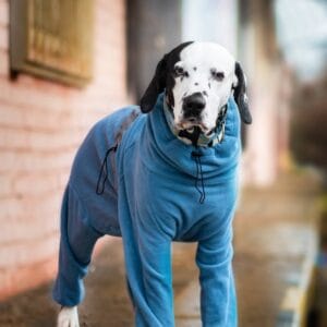 Vsepropejska Komfort fleecová kombinéza pro psa Barva: Modrá