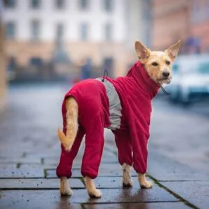 Vsepropejska Komfort fleecová kombinéza pro psa Barva: Vínová
