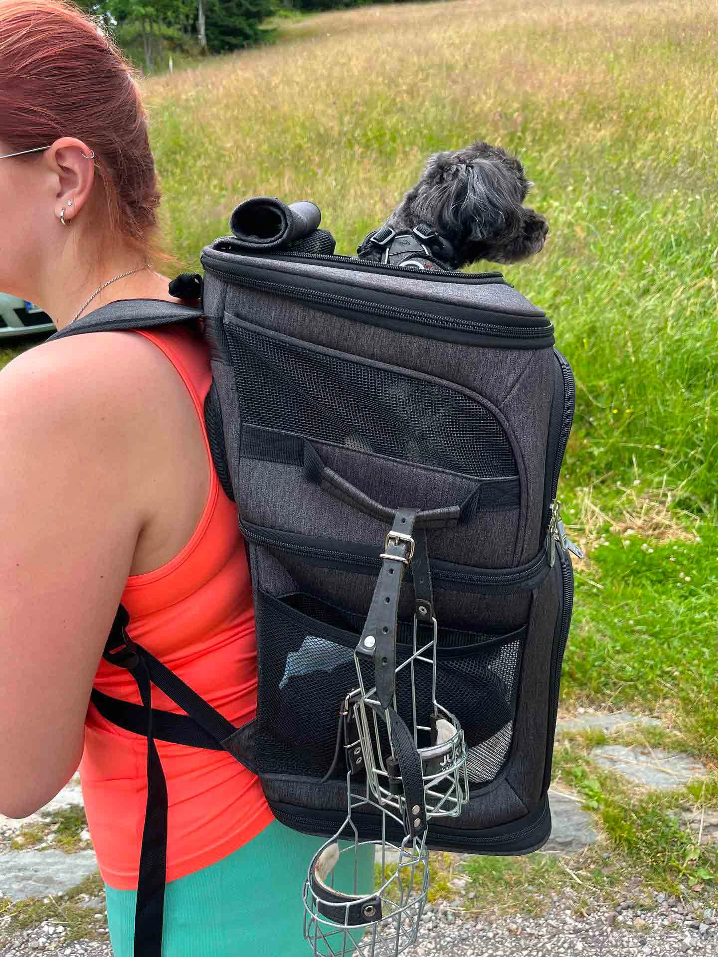 Palm batoh pro dva psy Barva: Šedá - Obrázek 2