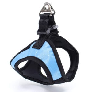 Vsepropejska Vrony sportovní kšíry pro psa | 29 – 46 cm Barva: Modrá