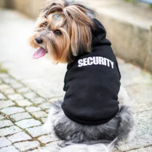 Vsepropejska Zagi sportovní mikina pro psa Barva: Černá