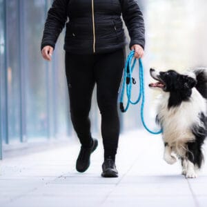 Vsepropejska Moris přepínací vodítko pro psa | 240 cm Barva: Modrá