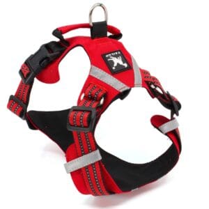 Vsepropejska Zodo sportovní postroj pro psa | 39 – 92 cm Barva: Červená