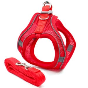 Vsepropejska Neve postroj pro psa s vodítkem | 22 – 46 cm Barva: Červená