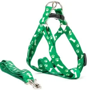 Vsepropejska Usual postroj pro psa s vodítkem | 23 – 43 cm Barva: Zelená