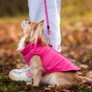 Color Rainy - Obleček pro psa na zip | Stylová ochrana v deštivém počasí Barva: Růžová